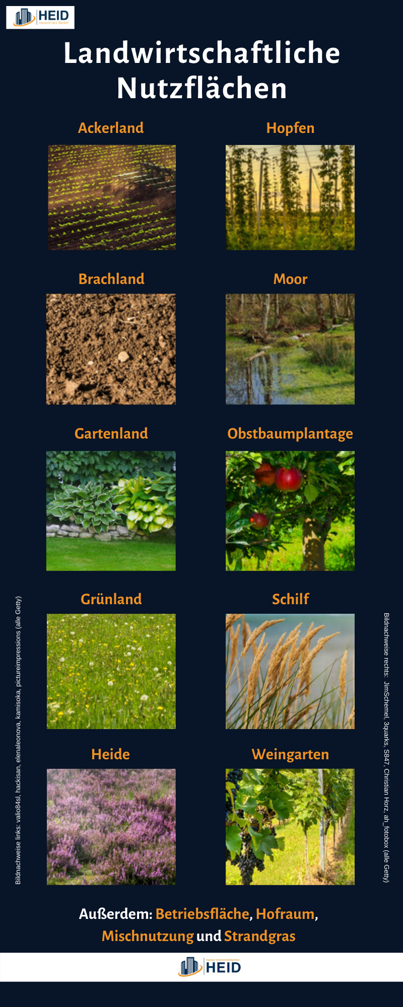 Landwirtschaftliche Nutzflächen (Infografik)